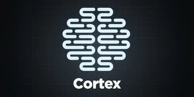 Hero image for A yearly theme update